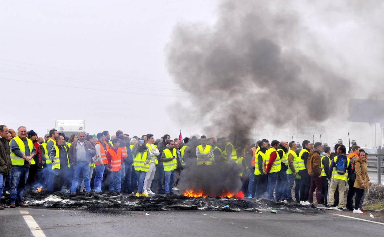 Los olivareros jienenses suspenden las salidas de todos los camiones cisterna con aceite y marcharán a Madrid a pie