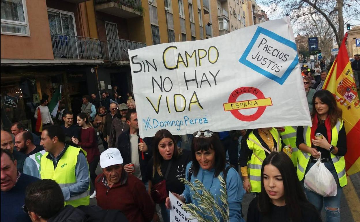 El grupo de vecinos de Domingo Pérez en la manifestación del pasado miércoles. 
