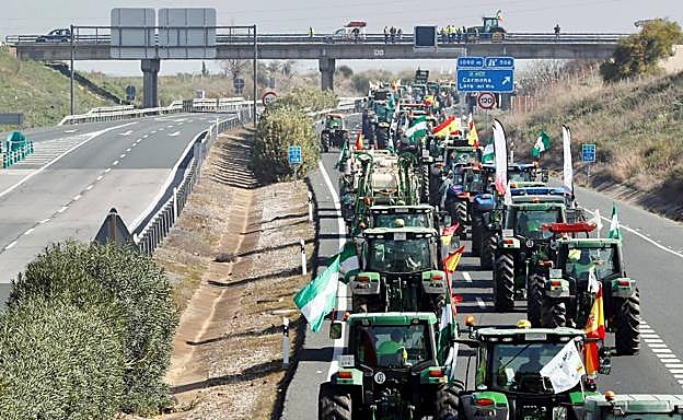 Tractorada realizada por agricultores y ganaderos de la provincia de Sevilla cortan tráfico en la carretera A-4 dirección Sevilla. 