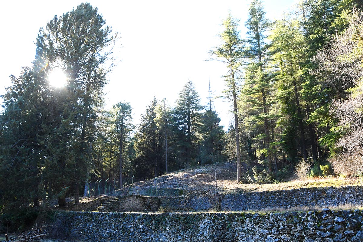 Vivero de Los Peñoncillos. Las antiguas albercas y fuentes de las reforestaciones del siglo XX recuperan su imagen 