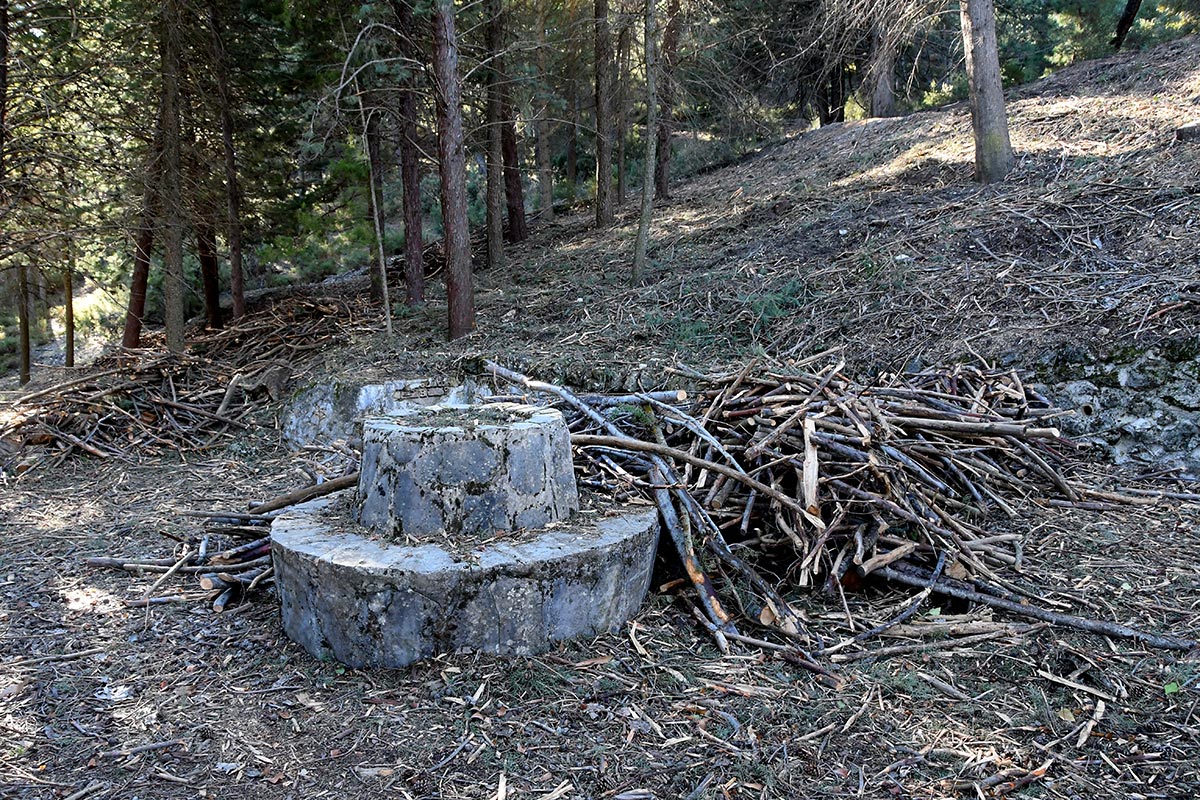 Las antiguas albercas y fuentes de las reforestaciones del siglo XX recuperan su imagen 