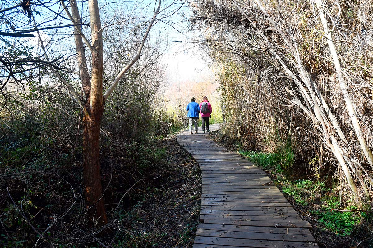 Ruta del Mamut en las lagunas y turberas de Padul 