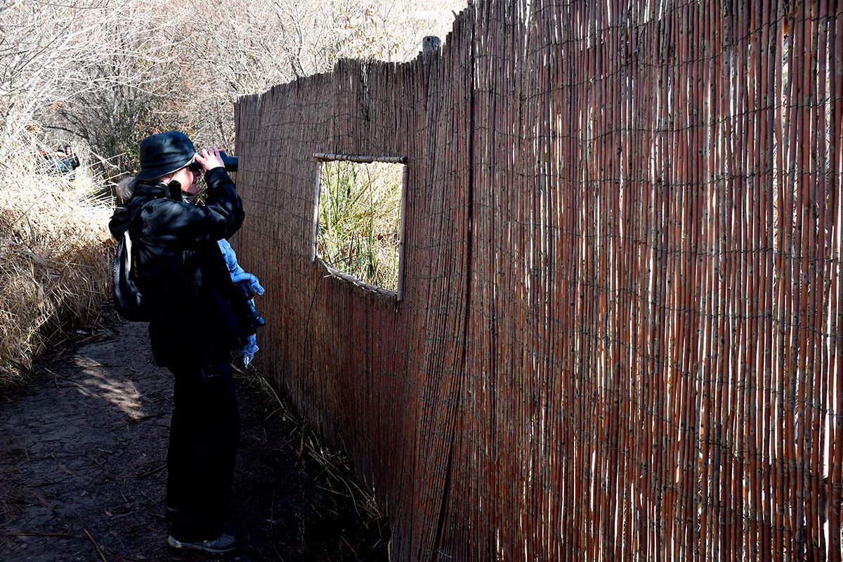 Ruta del Mamut en las lagunas y turberas de Padul 