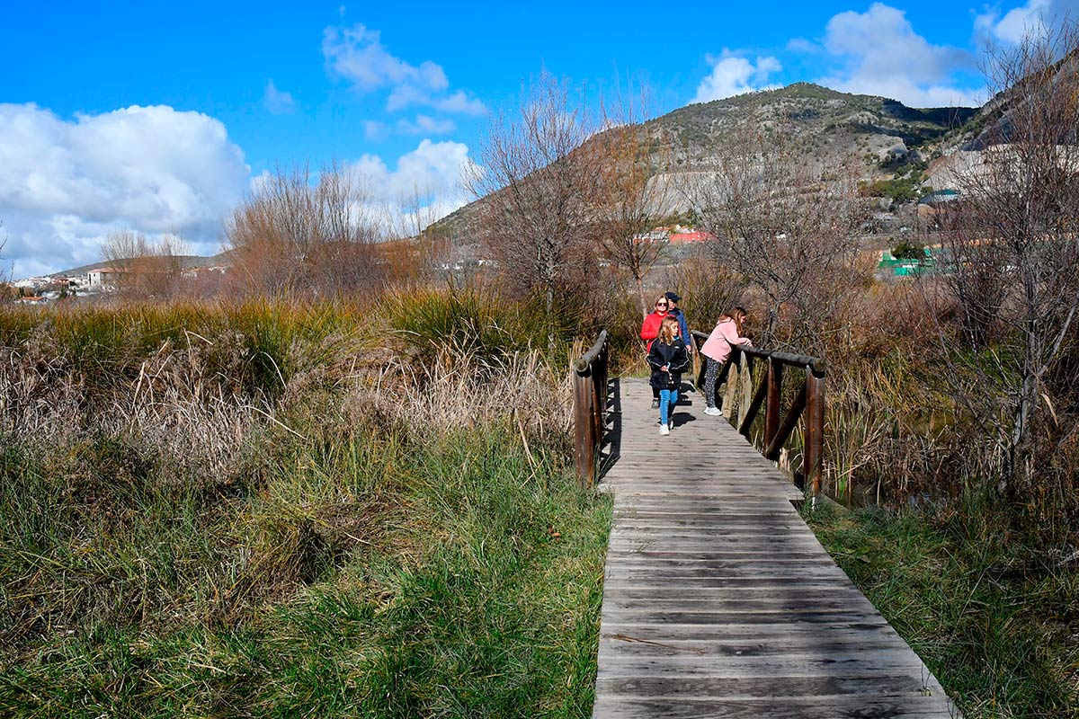 Ruta del Mamut en las lagunas y turberas de Padul 