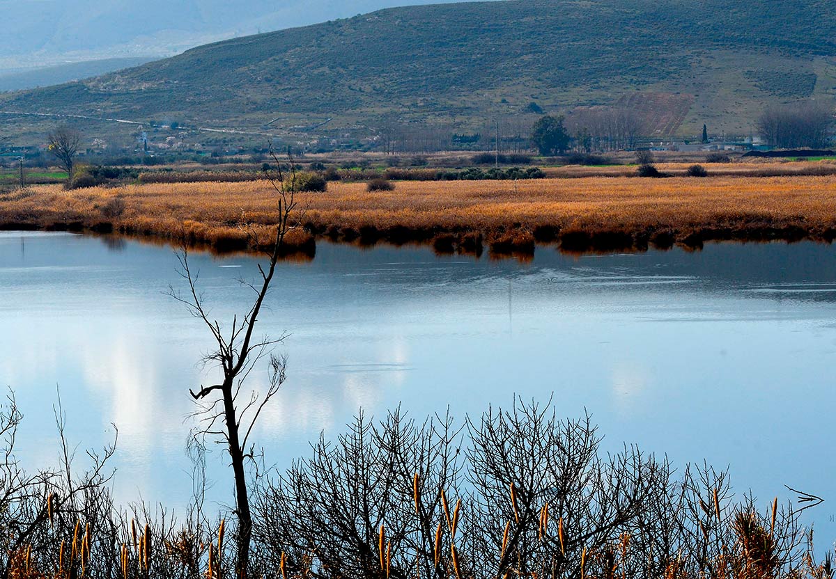 Ruta del Mamut en las lagunas y turberas de Padul 