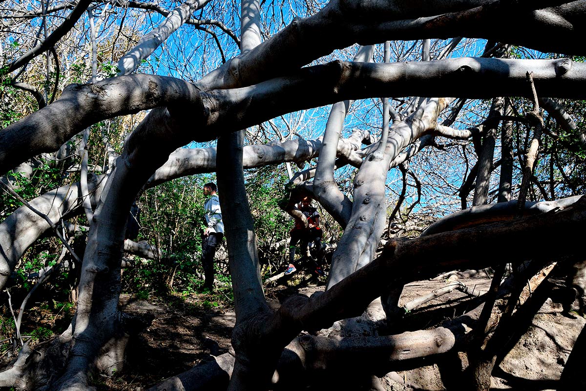 Ruta del Mamut en las lagunas y turberas de Padul 