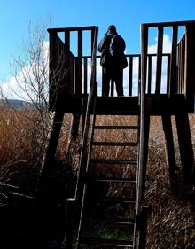 Imagen secundaria 2 - Representación de un mamut y un tigre dientes de sable; laguna de Padul; observatorio sobre el humedal. 