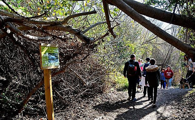 Galería. Ruta del Mamut en las lagunas de Padul 