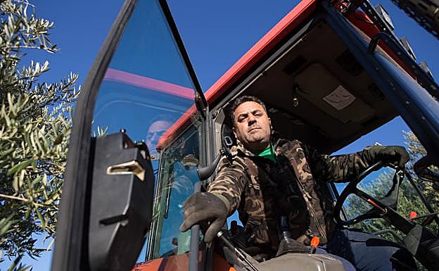 Imagen. Fernando Pulido, en el Kubota en el que realiza las tareas del campo.