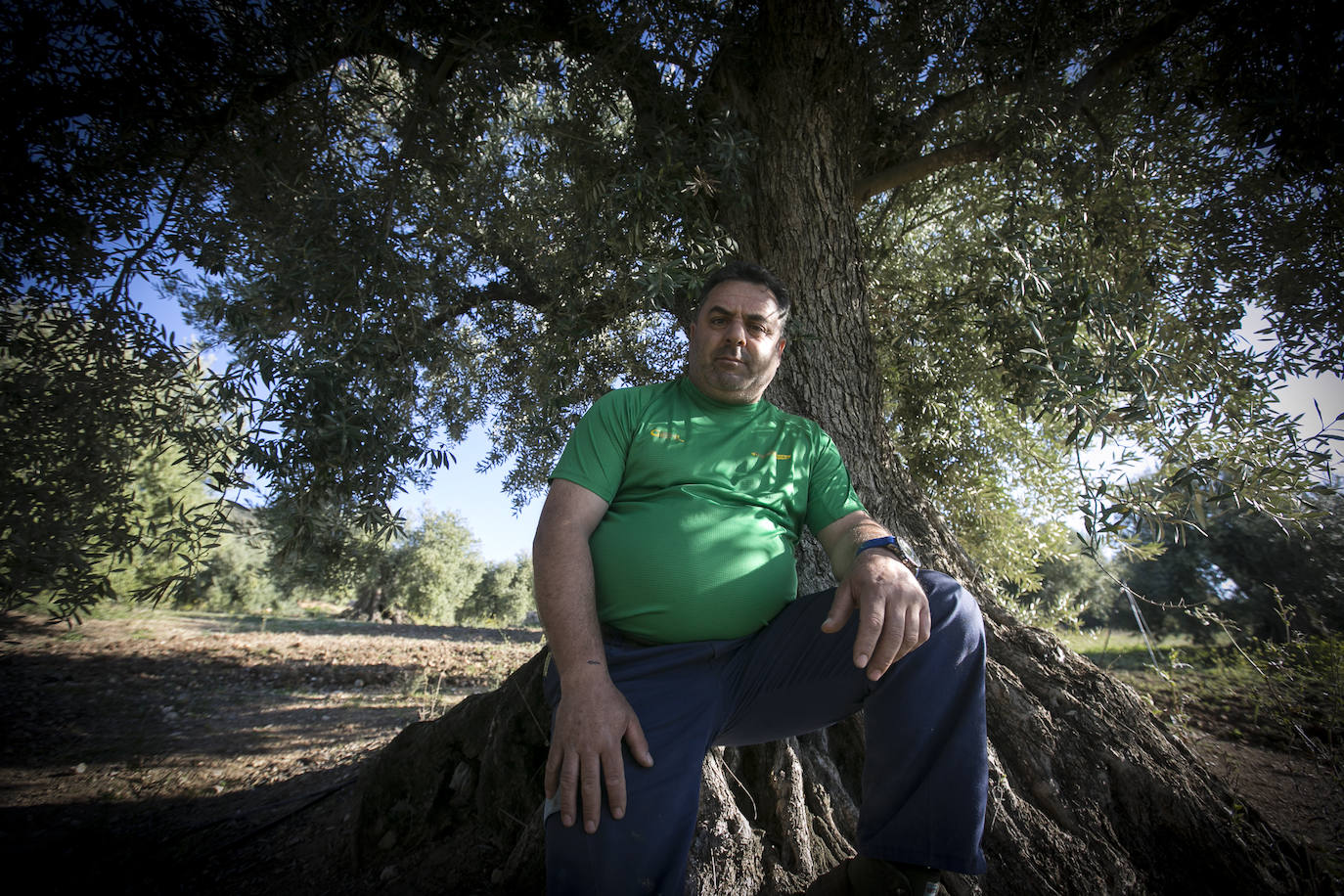 Este aceitunero, que explota un olivar a las afueras de Íllora, dejó la construcción por la tierra. Lo tiene claro: «Tal y como están las cosas, no quiero que mis hijos se dediquen a esto»