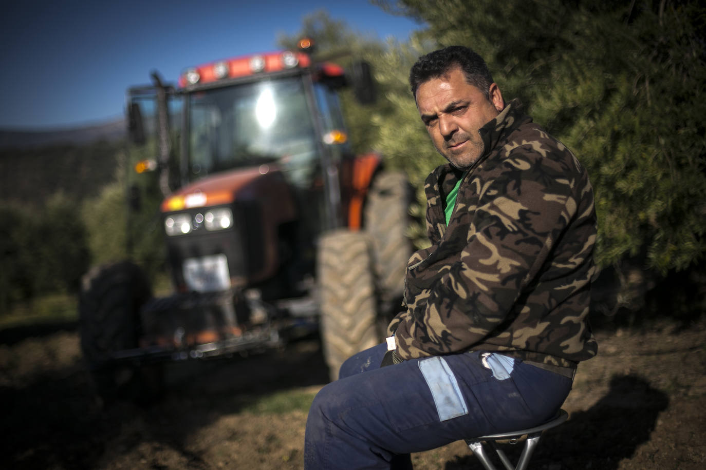 Este aceitunero, que explota un olivar a las afueras de Íllora, dejó la construcción por la tierra. Lo tiene claro: «Tal y como están las cosas, no quiero que mis hijos se dediquen a esto»