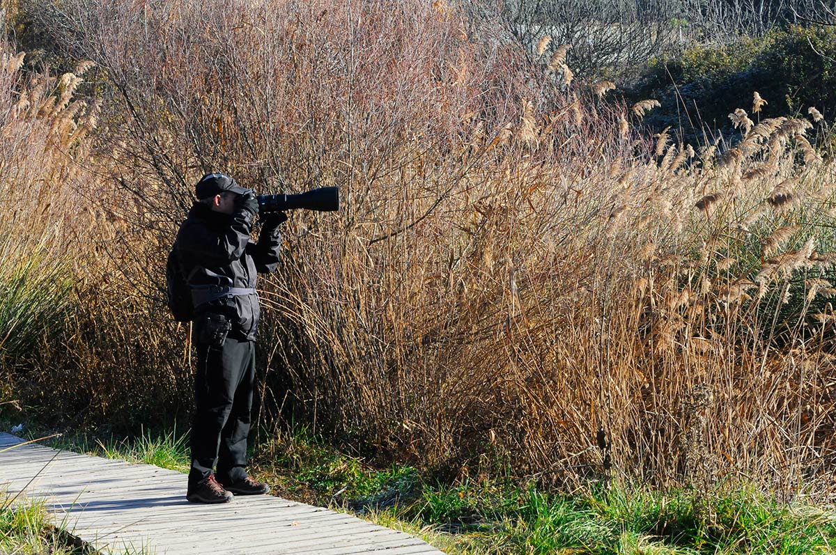 Ruta del Mamut en las lagunas y turberas de Padul 