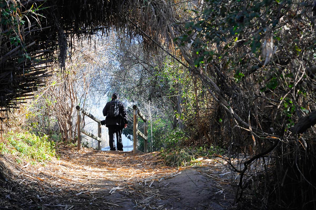 Ruta del Mamut en las lagunas y turberas de Padul 