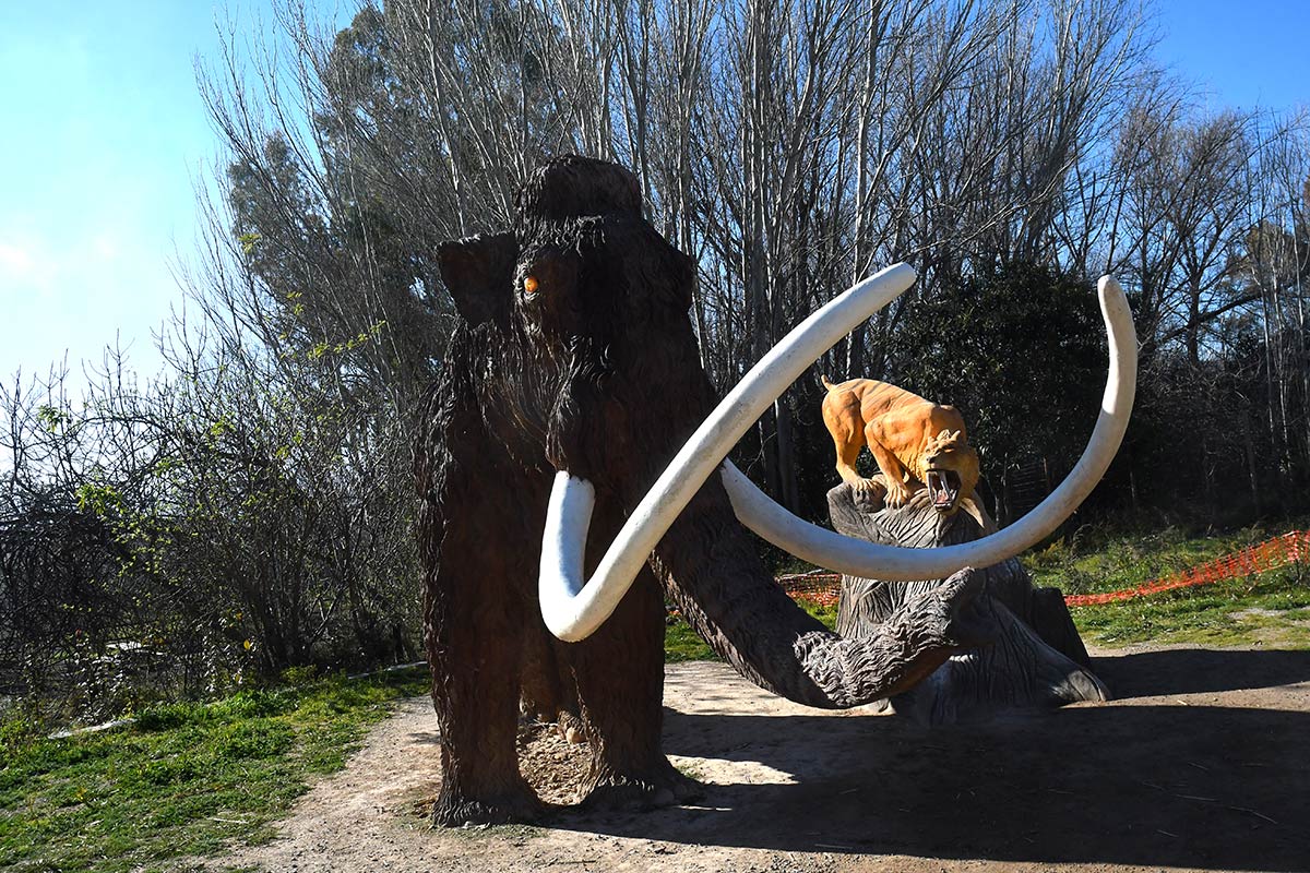 Ruta del Mamut en las lagunas y turberas de Padul 
