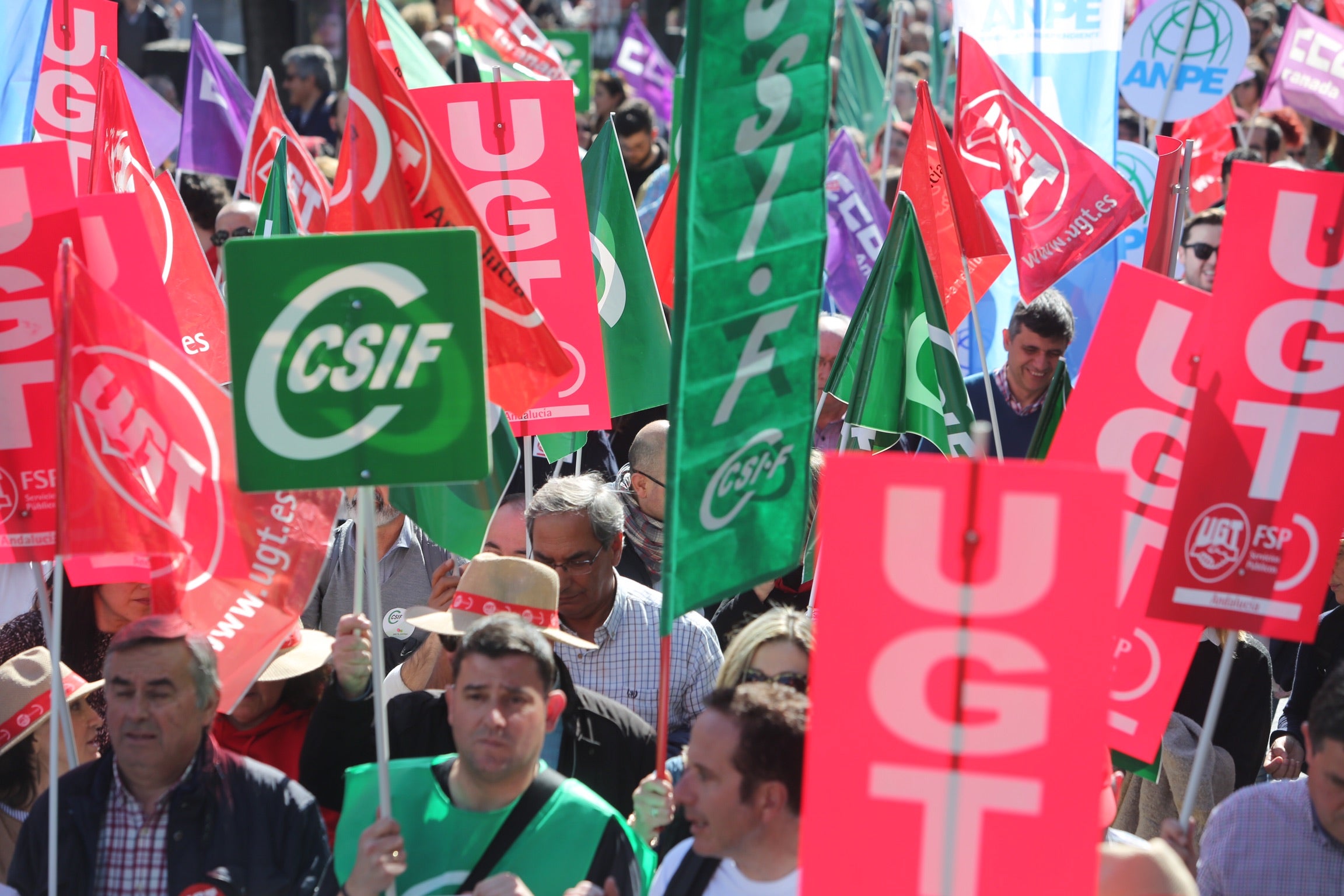 Colegio Francisco Mejías en Motril