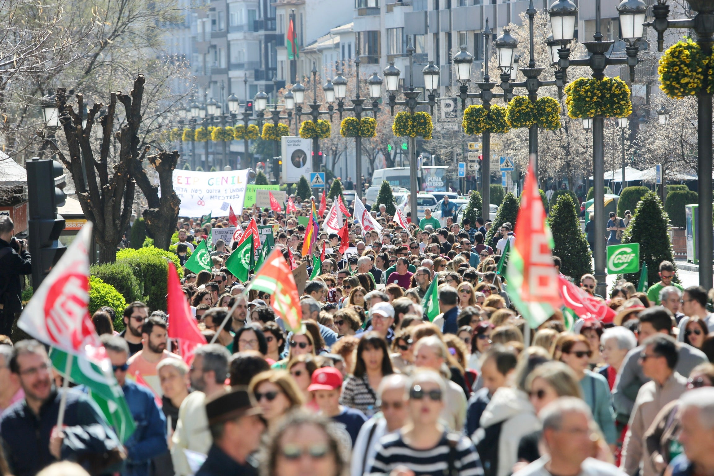 Colegio Francisco Mejías en Motril
