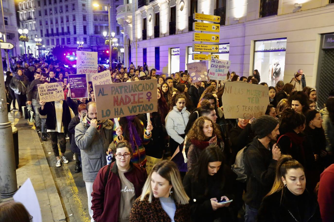 La manifestación nocturna recorrió las calles Reyes Católicos, Recogidas, Pedro Antonio de Alarcón y terminó en el entorno de Ciencias