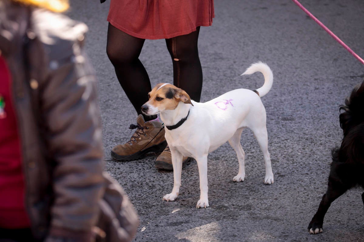La ciudad costera también se ha echado a la calle este 8-M