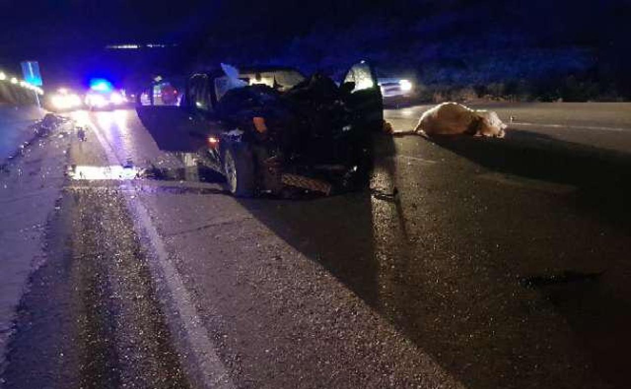 Un coche atropella y matra a tres becerros en una carretera de Purullena. 