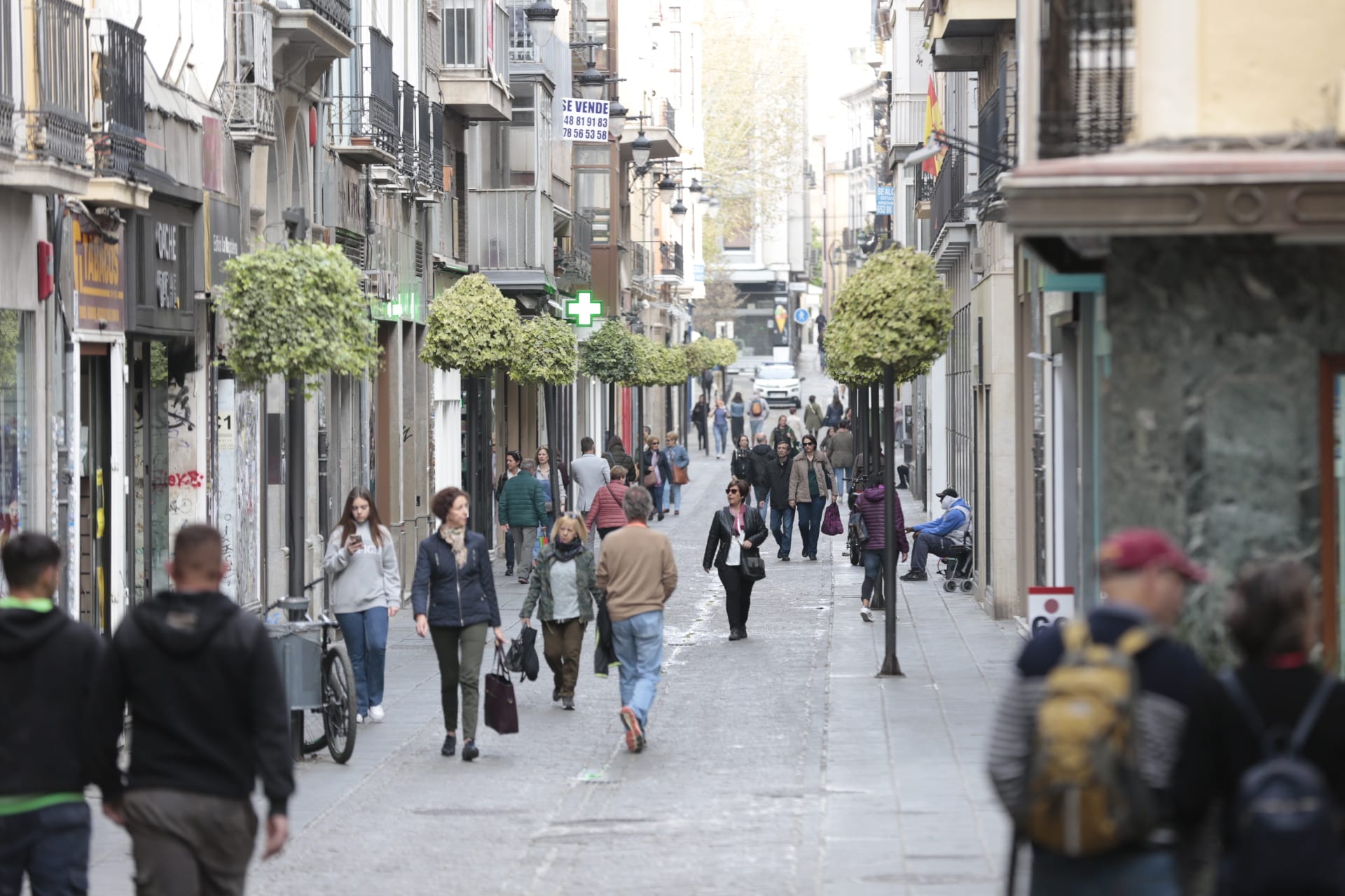 Las calles de Granada y los monumentos, con mucha menos gente de lo habitual