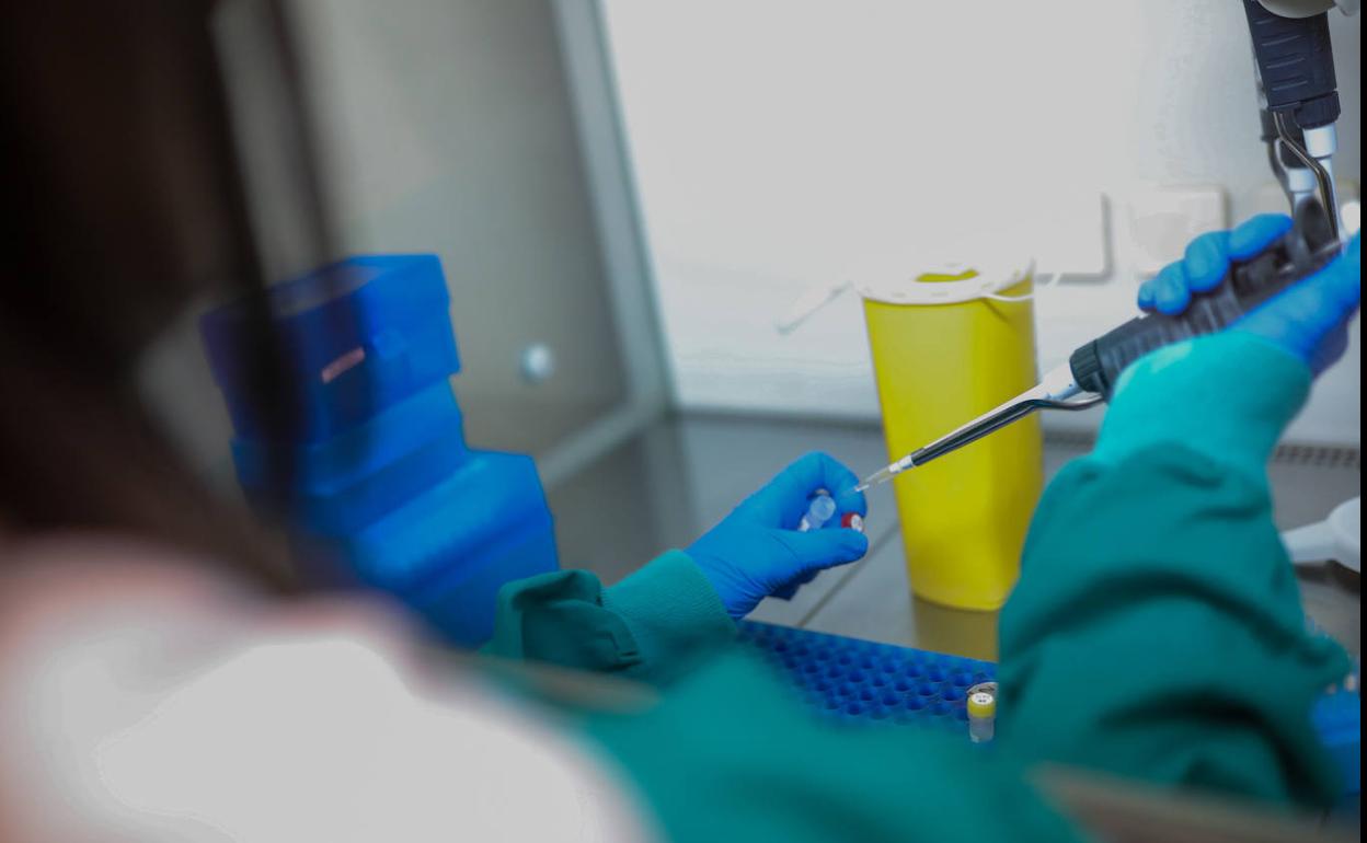 La Universidad de Valencia obtiene «los primeros genomas completos del virus SARS-CoV2 en España»