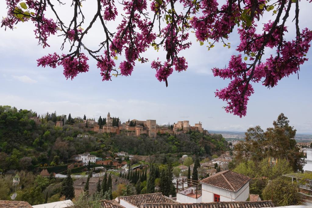 Siguen las imágenes de calles desiertas en la capital en pleno estado de alarma