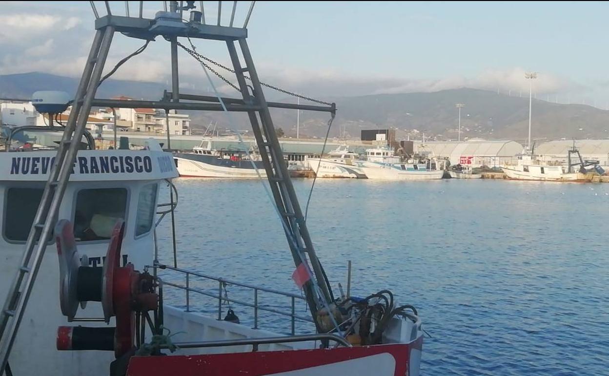 Gran parte de la flota permanece amarrada en puerto.