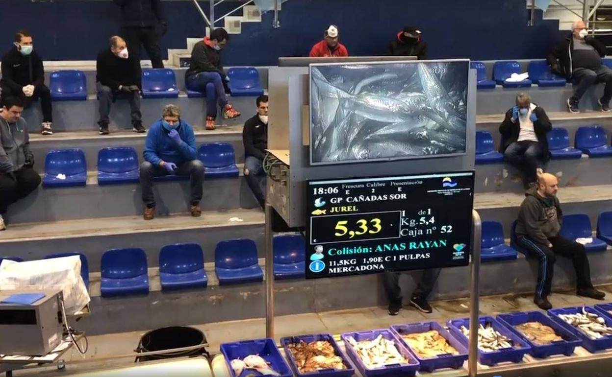 Subasta en la Lonja de Almería tras decretarse el estado de alarma.