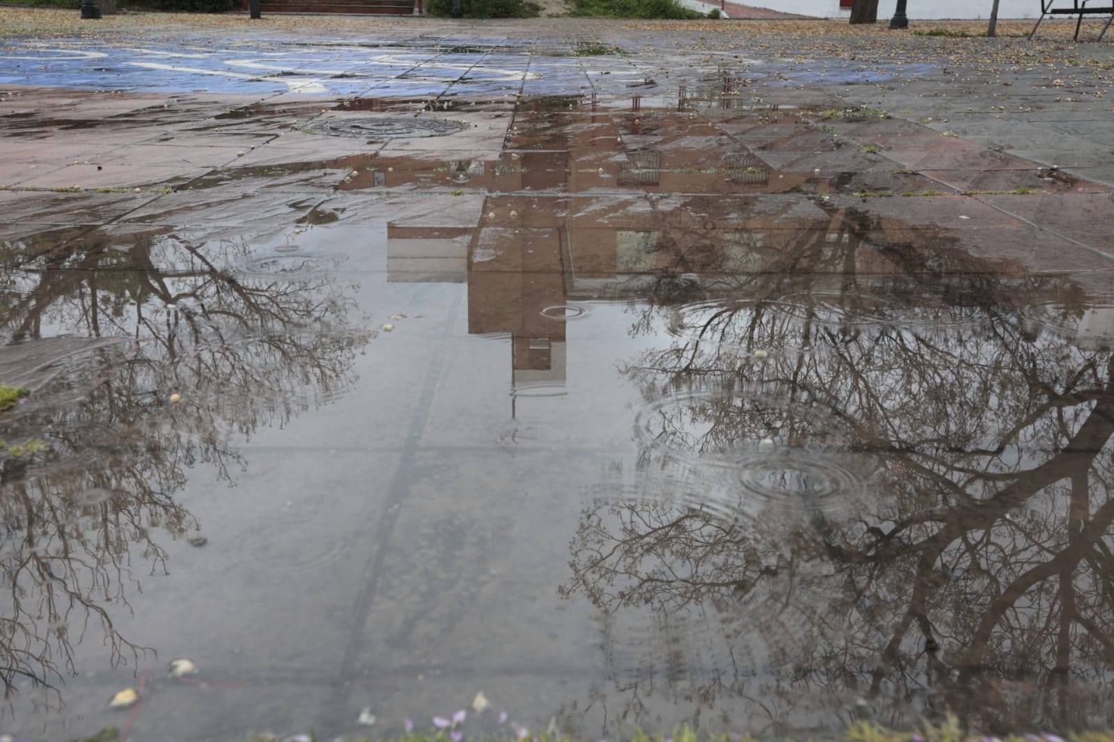 Las nuevas restricciones a la movilidad se hacen notar en las calles y plazas de la capital