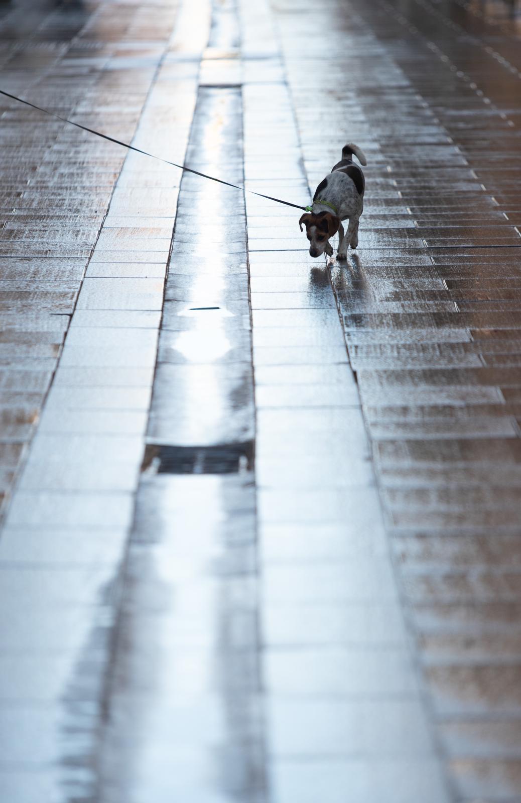 La ciudad vivie un nuevo fin de semana del estado de alarma