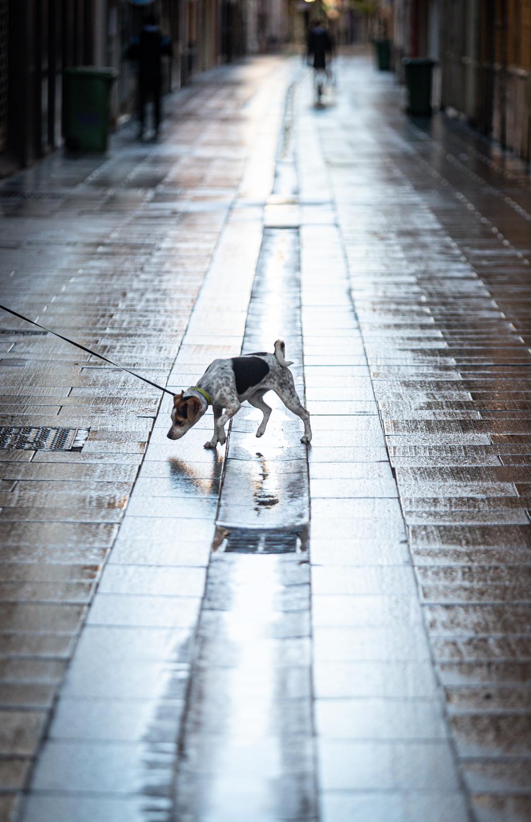 La ciudad vivie un nuevo fin de semana del estado de alarma