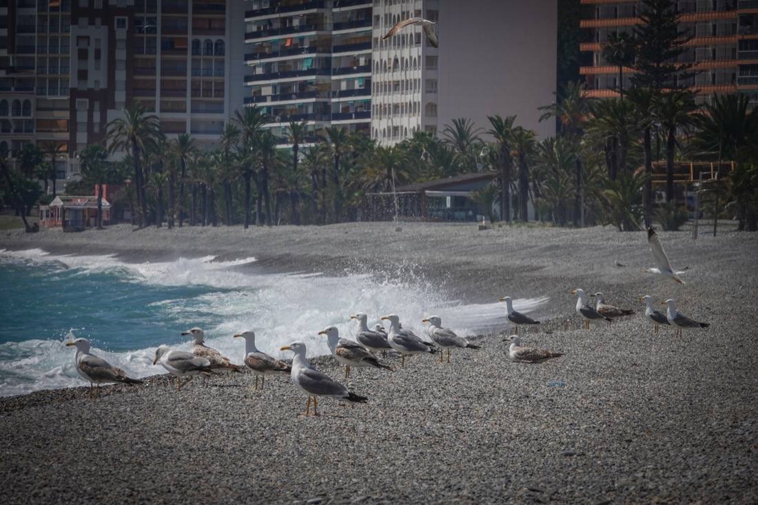 Inéditas estampas en este Sábado Santo en el litoral granadino