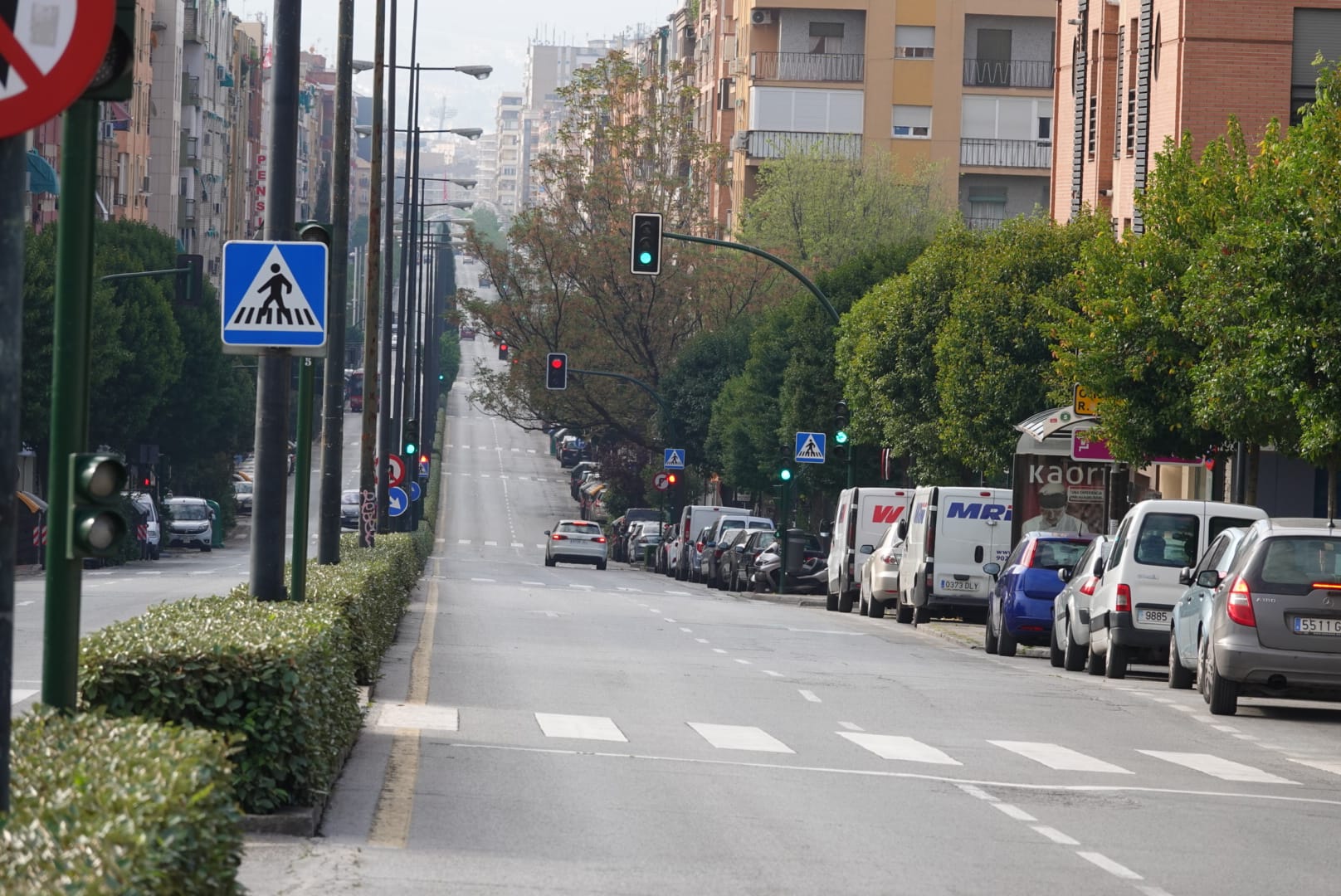 El que estaba destinado a ser el gran fin de semana de la Semana Santa para las calles de Granada ha quedado en vías grises y vacías, solamente adornadas por el color de los mensajes de ánimo presentes en los balcones