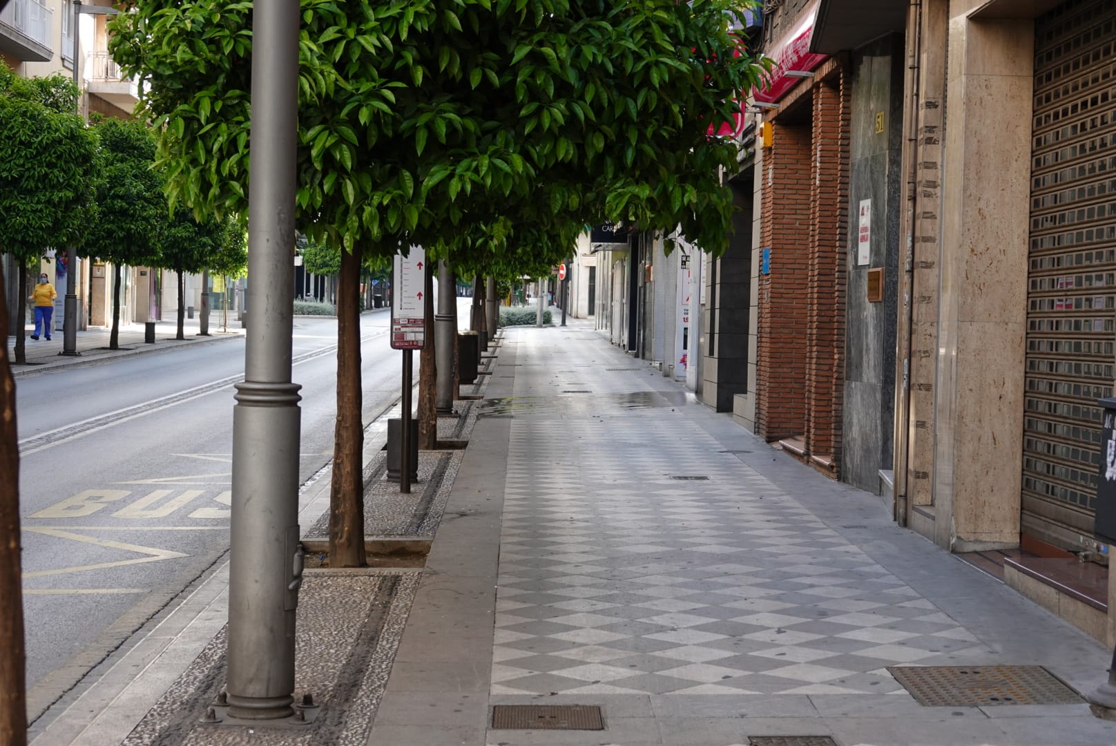 El que estaba destinado a ser el gran fin de semana de la Semana Santa para las calles de Granada ha quedado en vías grises y vacías, solamente adornadas por el color de los mensajes de ánimo presentes en los balcones