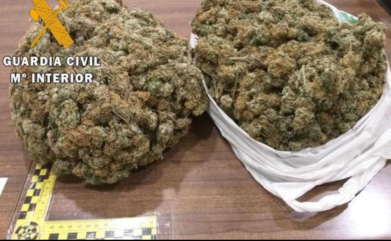 Alijos de marihuana. 