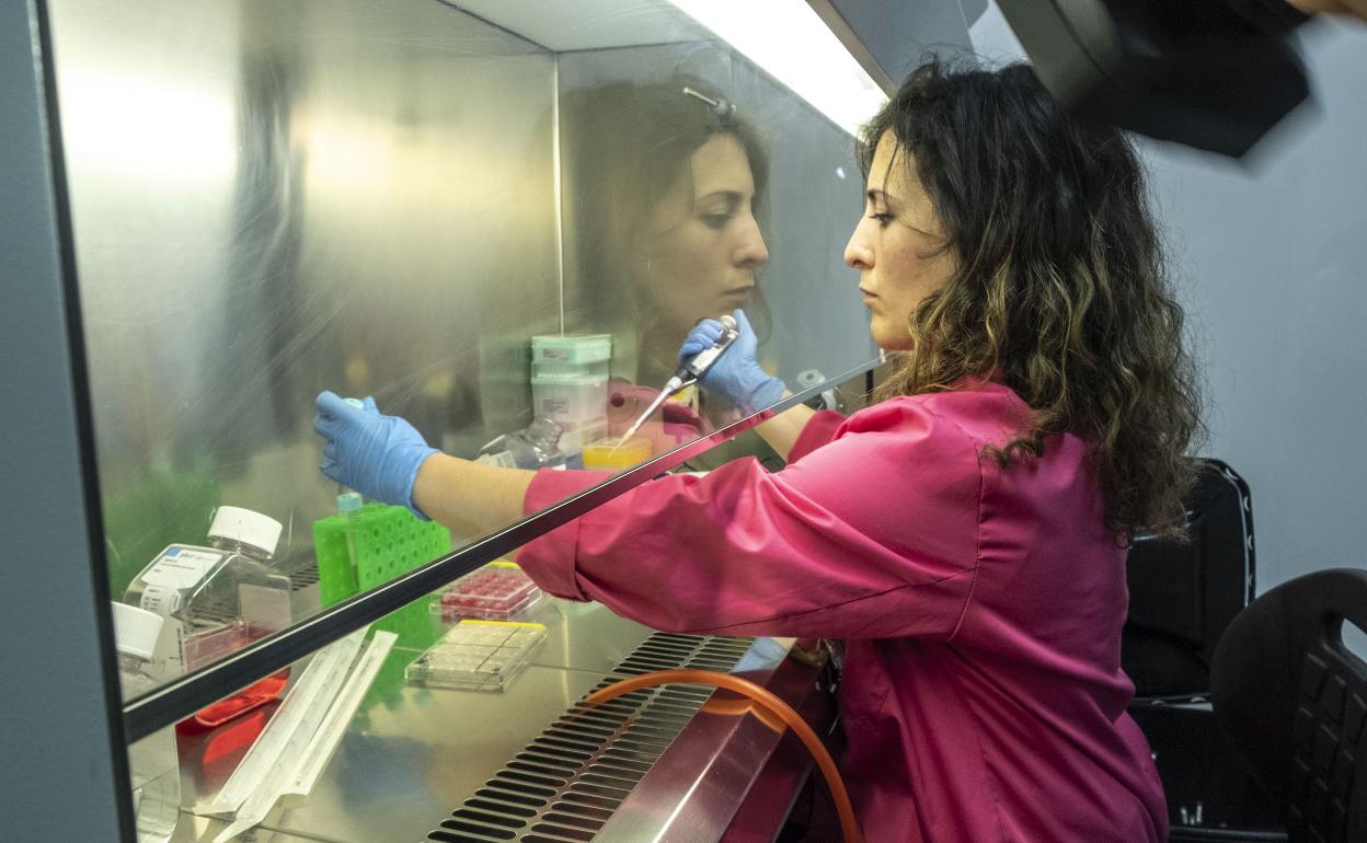 Una investigadora trabaja en el Centro de Investigación Biomédica de la UGR en Granada.