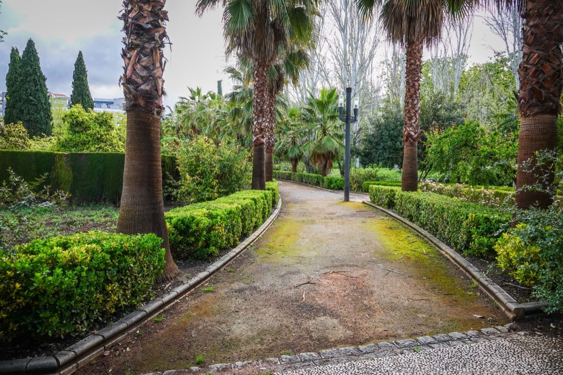 Las flores comienzan a abrirse camino en el Parque García Lorca sin visitantes que puedan disfrutar de ellas por el confinamiento