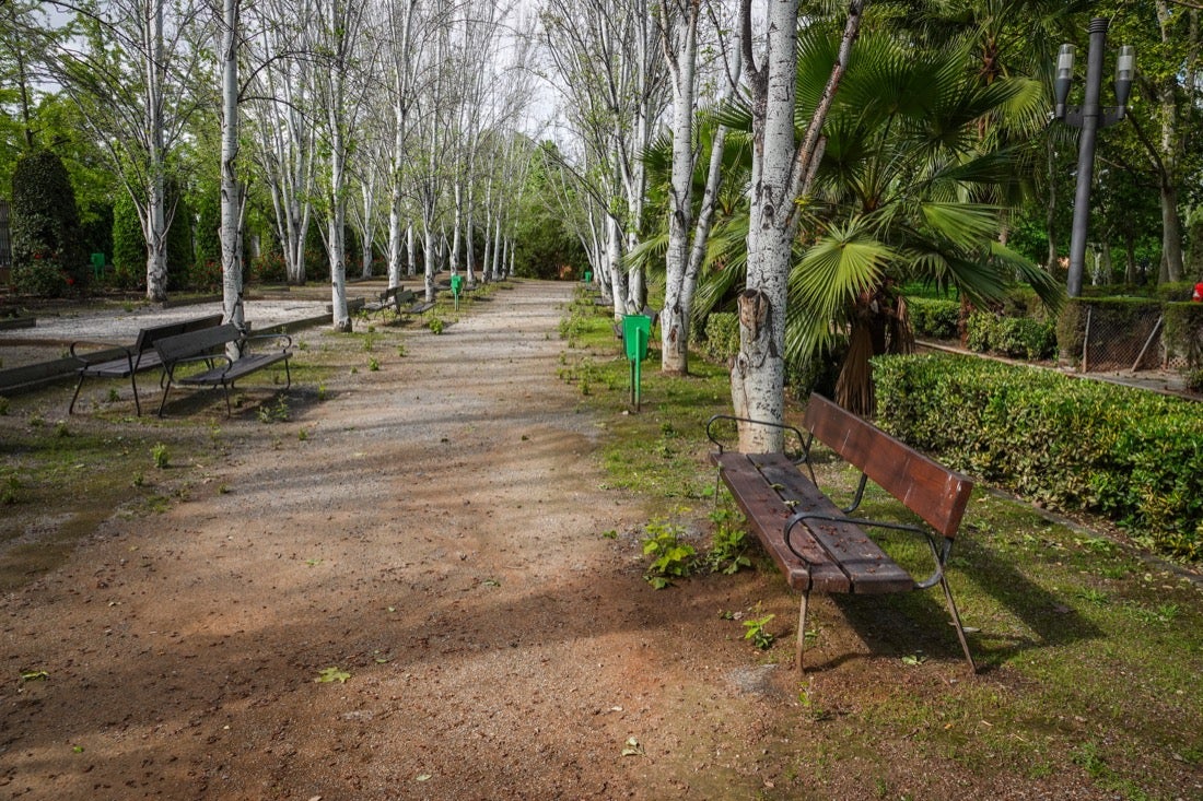 Las flores comienzan a abrirse camino en el Parque García Lorca sin visitantes que puedan disfrutar de ellas por el confinamiento