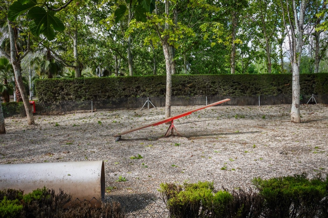 Las flores comienzan a abrirse camino en el Parque García Lorca sin visitantes que puedan disfrutar de ellas por el confinamiento