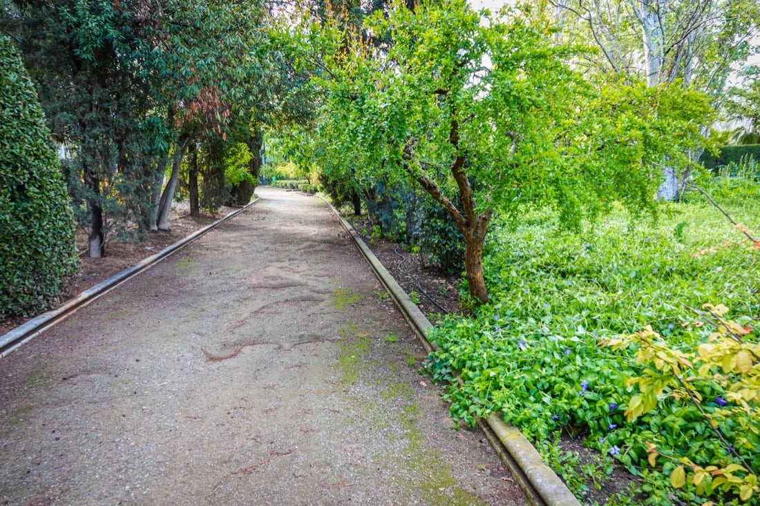 Las flores comienzan a abrirse camino en el Parque García Lorca sin visitantes que puedan disfrutar de ellas por el confinamiento