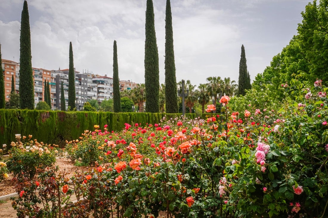 Las flores comienzan a abrirse camino en el Parque García Lorca sin visitantes que puedan disfrutar de ellas por el confinamiento