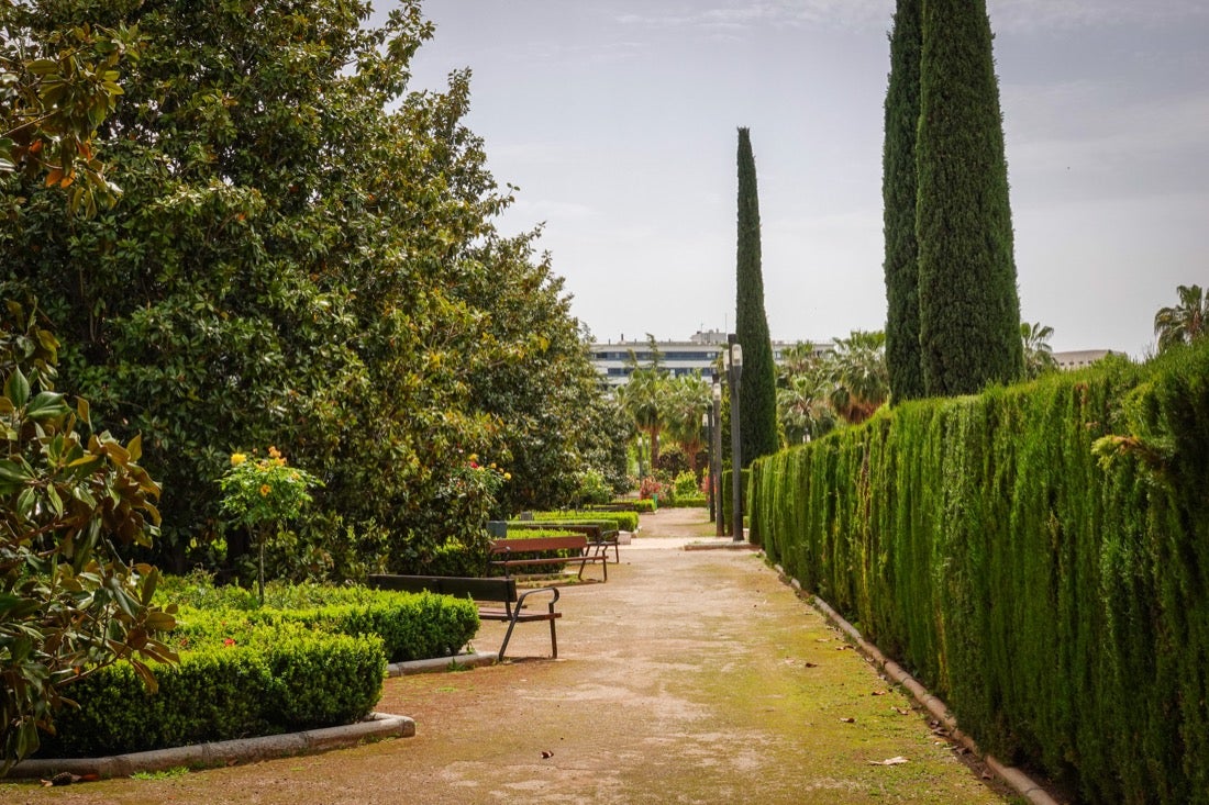 Las flores comienzan a abrirse camino en el Parque García Lorca sin visitantes que puedan disfrutar de ellas por el confinamiento