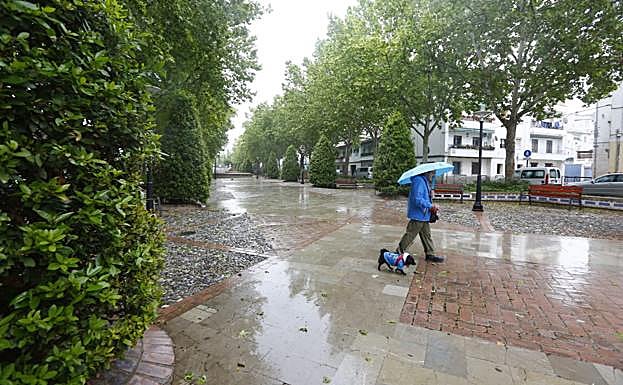 ¿A qué hora va a hacer mejor tiempo mañana para salir a pasear con los niños?