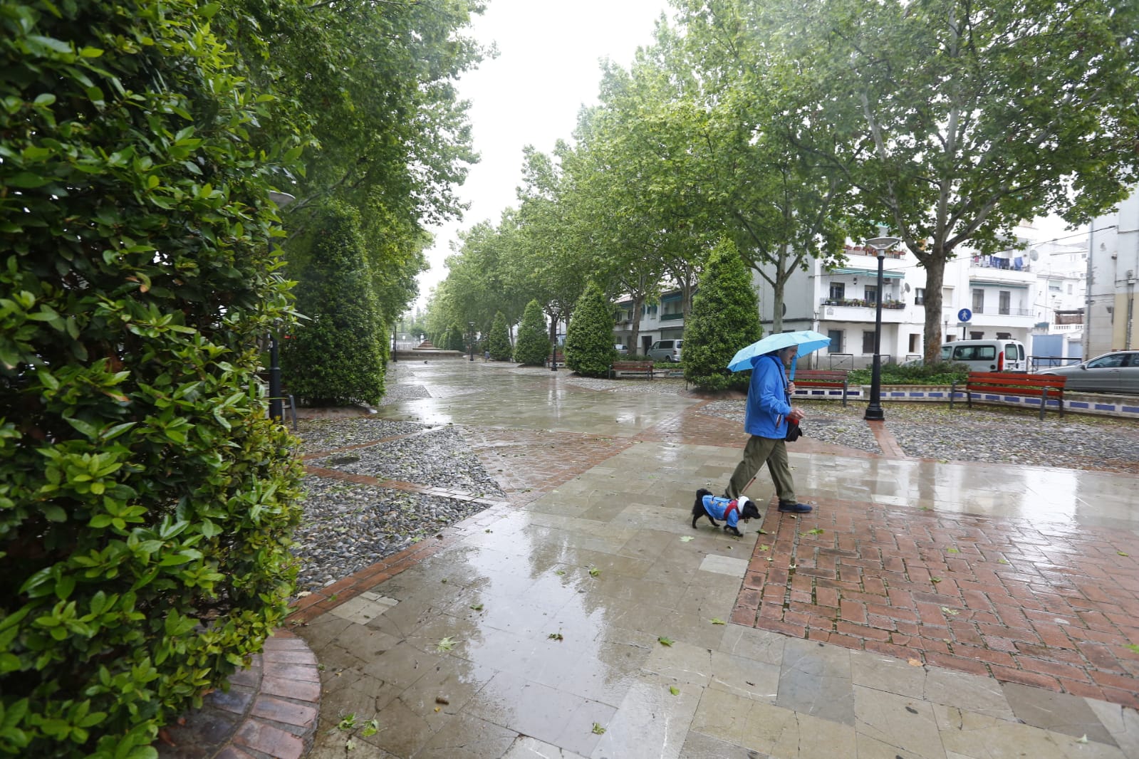 El último sábado sin niños en las calles deja imágenes aún más desiertas de lo habitual por la presencia de lluvia