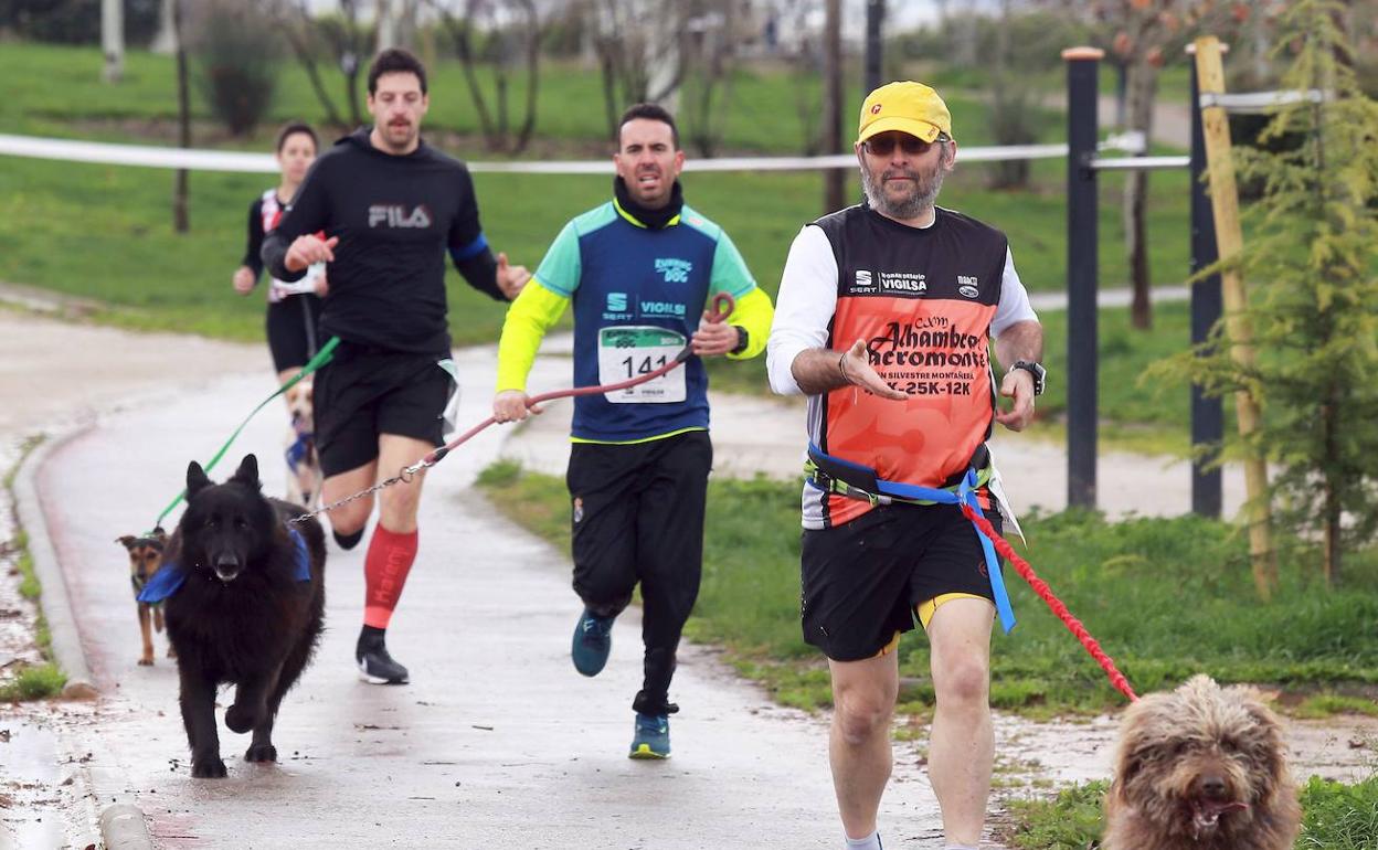 ¿Cómo van a ser los paseos por parejas? Normas a cumplir desde el sábado | Los paseos y el deporte, de 06.00 a 10.00 y de 20.00 a 23.00, en grupos de dos como máximo