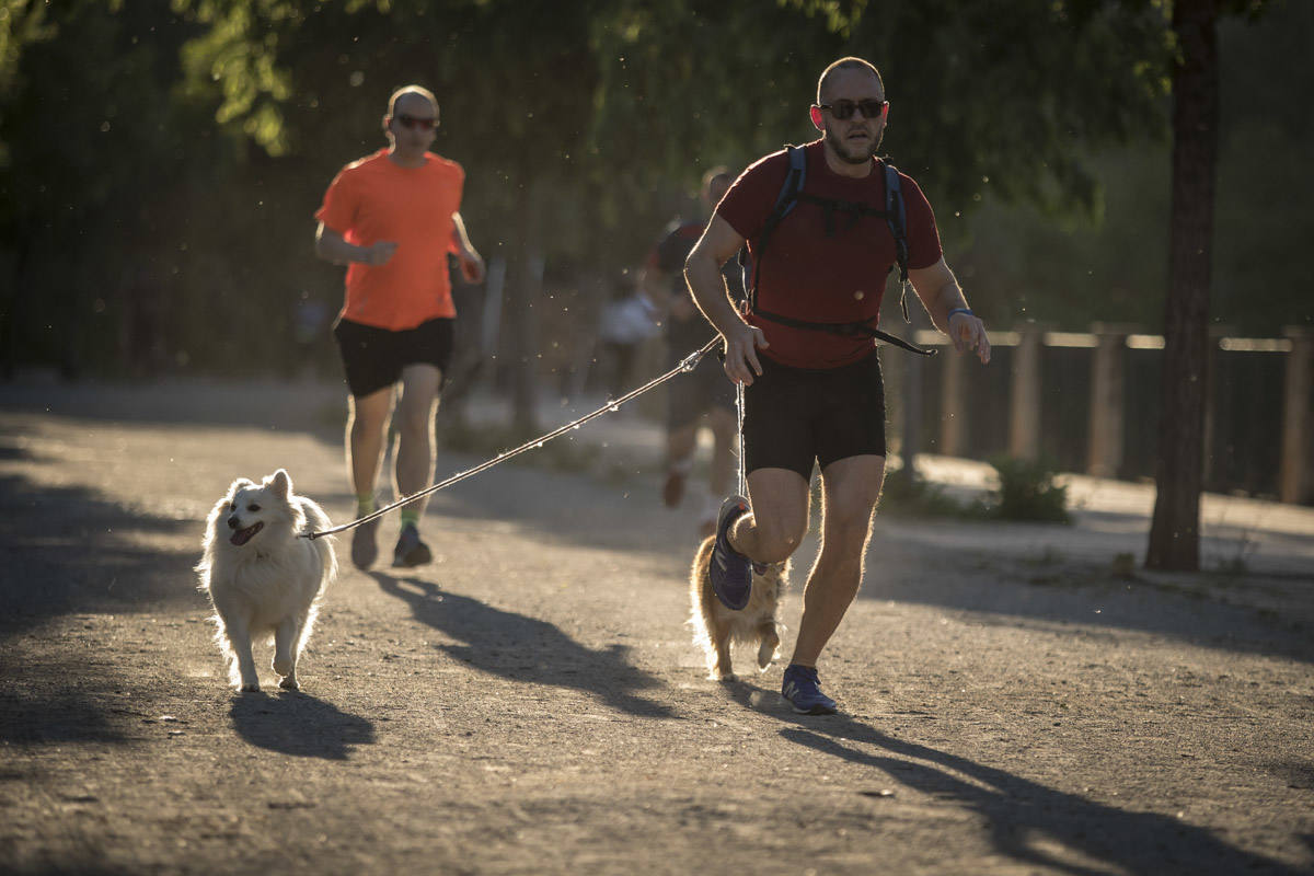 Las calles de la ciudad se han llenado de ciudadanos que han salido a las calles y plazas a partir de las 20.00 horas 