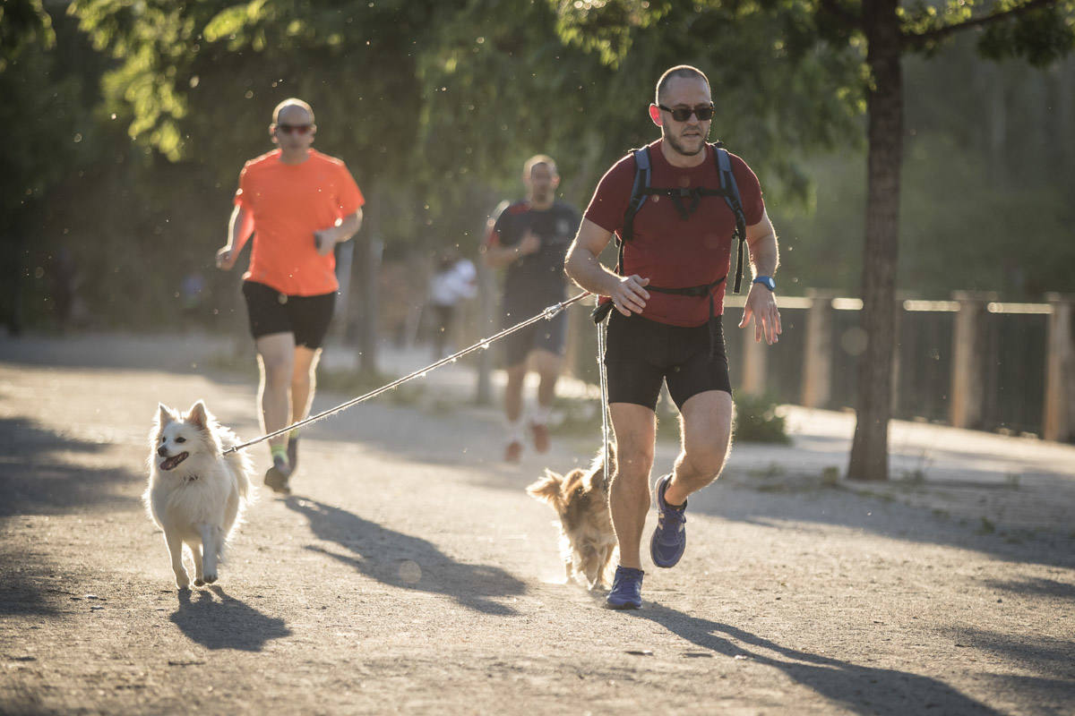 Las calles de la ciudad se han llenado de ciudadanos que han salido a las calles y plazas a partir de las 20.00 horas 