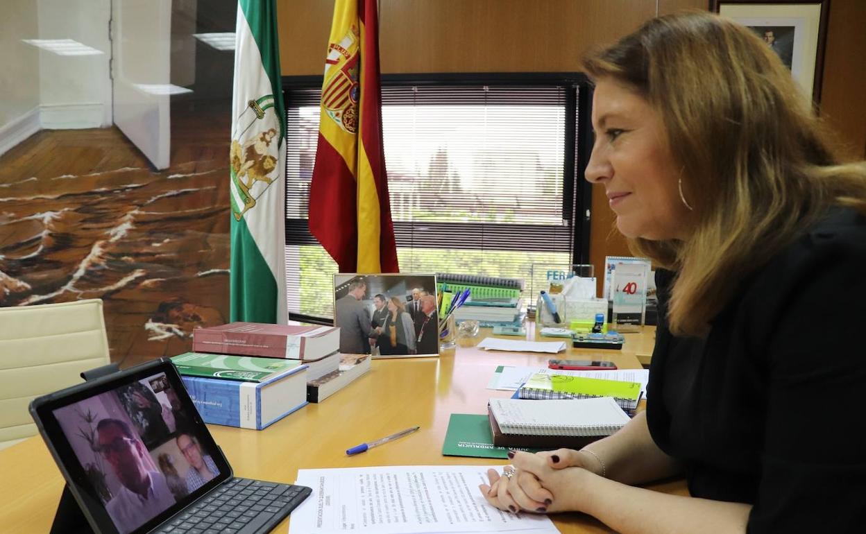 Reunión telemática de la consejera con los responsables de la cría de quebrantahuesos.