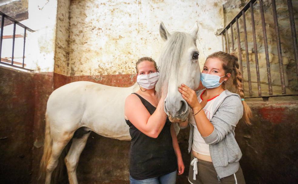 Anthea y Luzi acarician a Embajador, uno de los caballos que cuidan en la granja escuela.