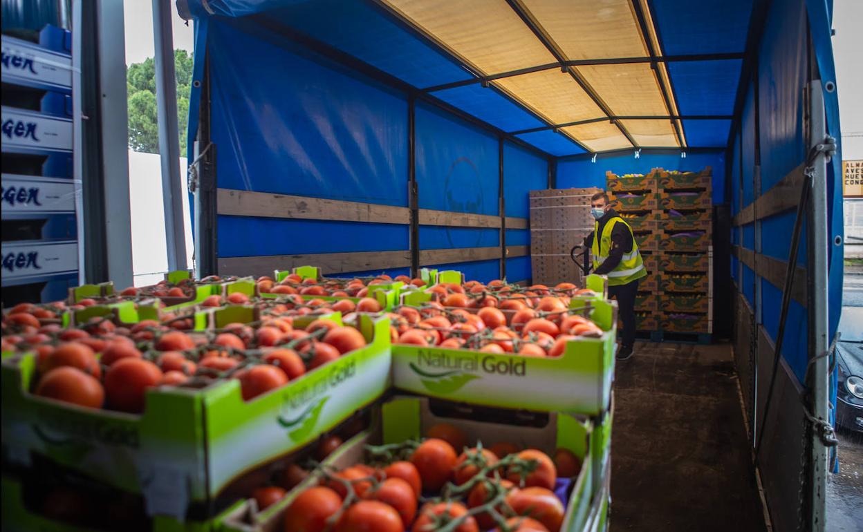 Voluntarios del Banco de Alimentos cargan un camión de productos frescos para distribuirlos ayer por diferentes entidades de Granada.